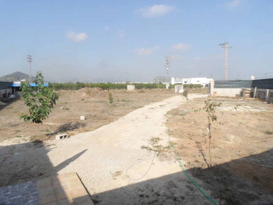 03.JPG