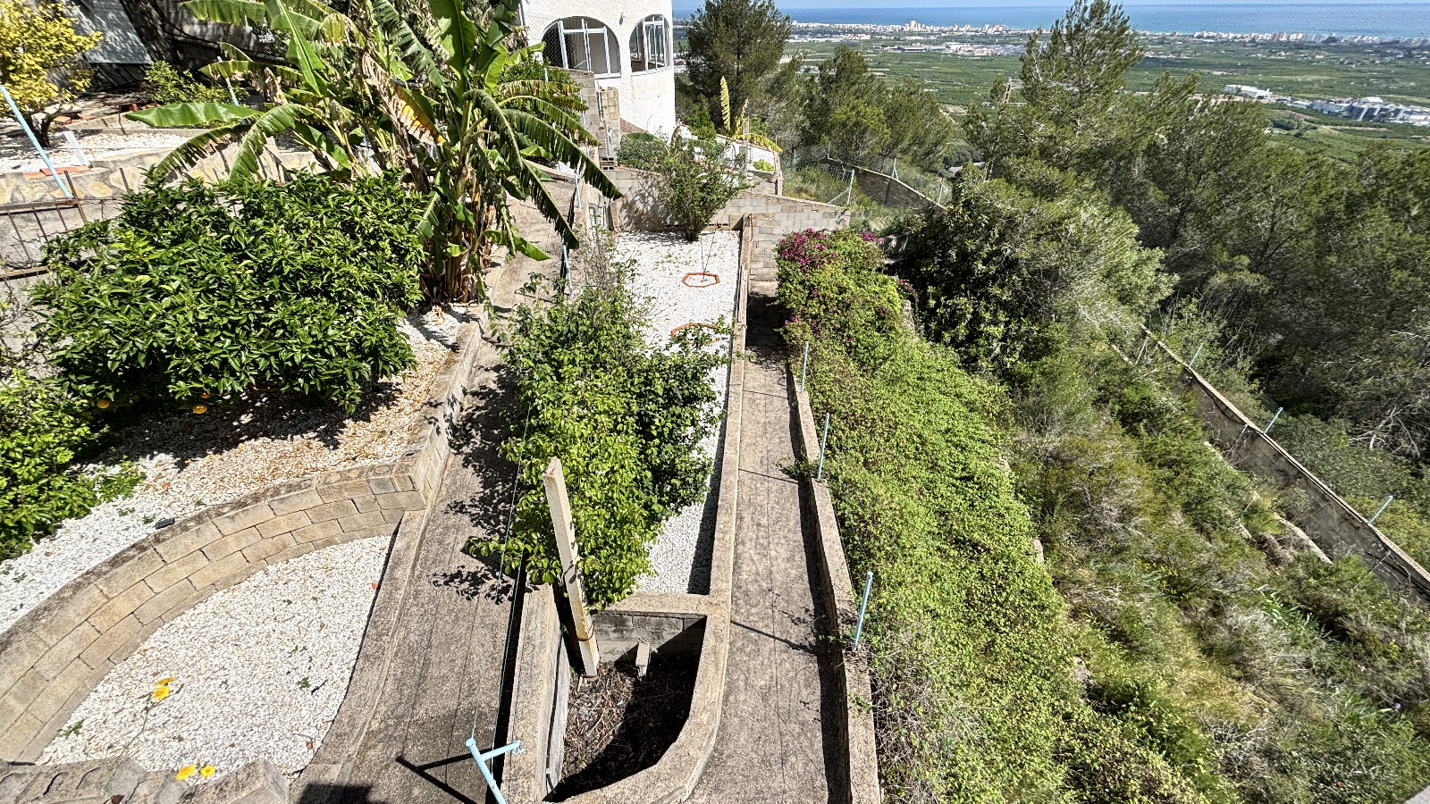 67.JPG